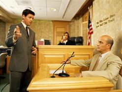 Профессиональный арбитражный адвокат