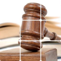 Юридическая помощь адвоката, защита интересов в государственных органах